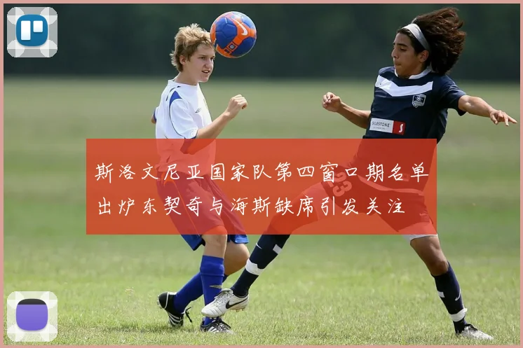 斯洛文尼亚国家队第四窗口期名单出炉东契奇与海斯缺席引发关注